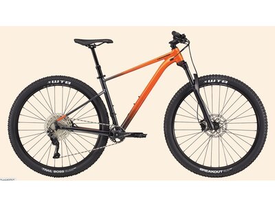 Cannondale Trail SE 3