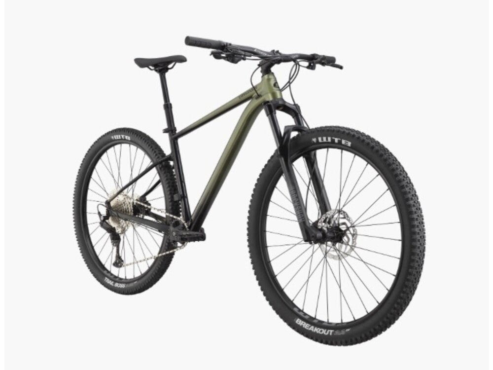 Cannondale Trail SE 3