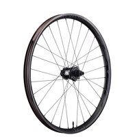 Next-R31 29" Front Wheel, 15x110 Boost, Black