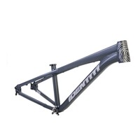 Dr Jekyll Frame, L - Gunpowder Gray  NLA