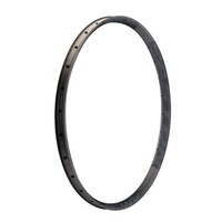 RIM ARC OFFSET 25 29" 32H GRY 19