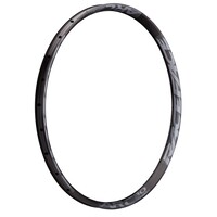 RIM ARC OFFSET 30 29" 28H GRY 19