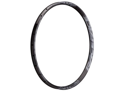 RaceFace RIM ARC OFFSET 30 29" 28H GRY 19