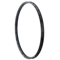 RIM ARC OFFSET 25 29" 28H GRY 19