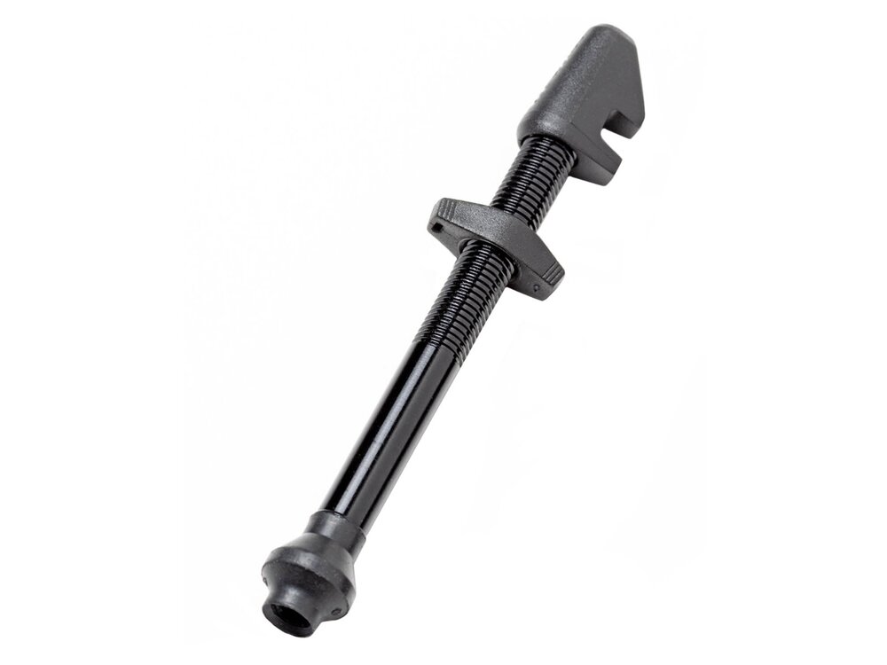 DT Swiss Alloy Tubeless Valve, 73mm, Black, Each