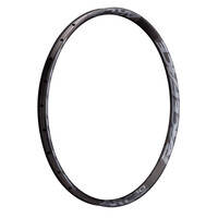 RIM ARC OFFSET 30 29" 32H GRY 19