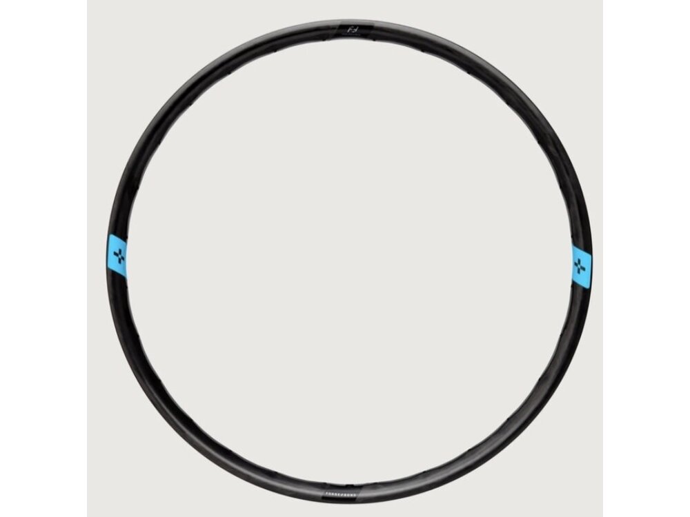 Forge + Bond 30 AM Rim 28H FRONT ONLY