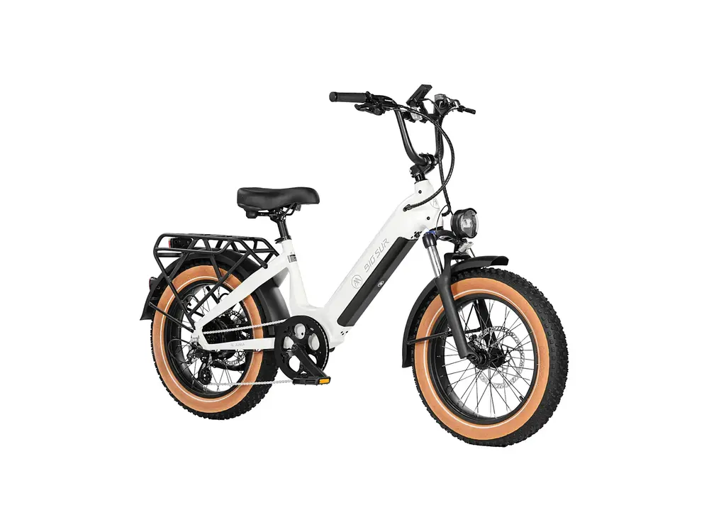 AIMA Big Sur Sport 20"