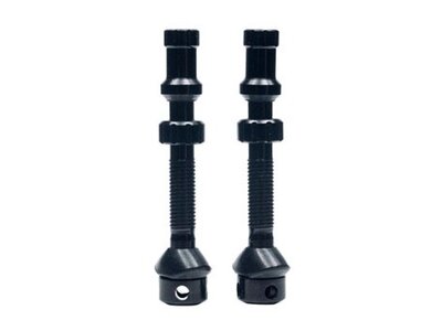 Stan's No Tubes Stan's Tubeless Universal+ Valve Stems - Alloy, Regular, Black, Pair