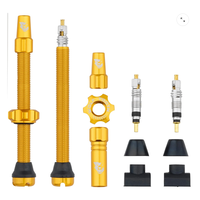 Tubeless Presta Valve Stem Kit 60MM/GOLD