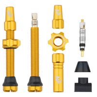 Tubeless Presta Valve Stem Kit 44MM/ GOLD