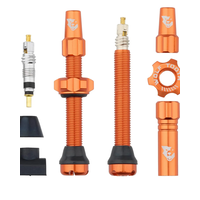 Tubeless Presta Valve Stem Kit 44MM/ ORANGE