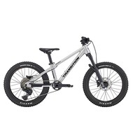 Bandit Hardtail Raw Alloy