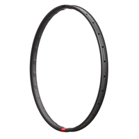 30|SL Carbon Rims