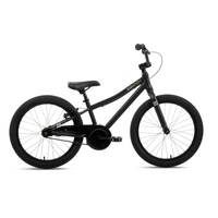 Kids 20" Bike 2025