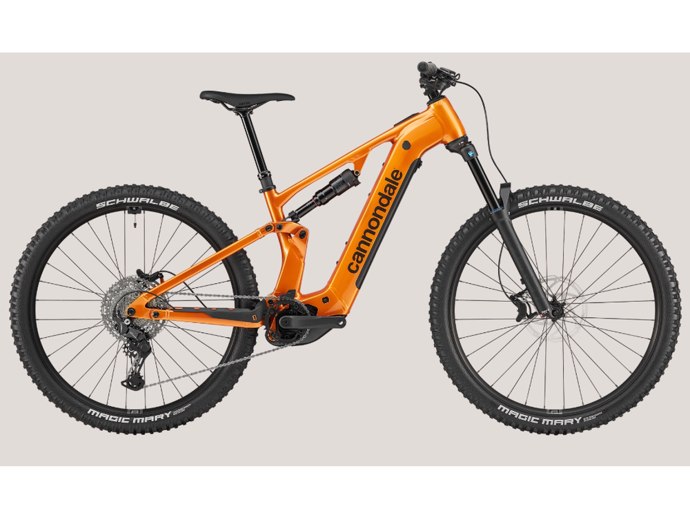 Cannondale 29 U Moterra 4 AM TGE SM (x)