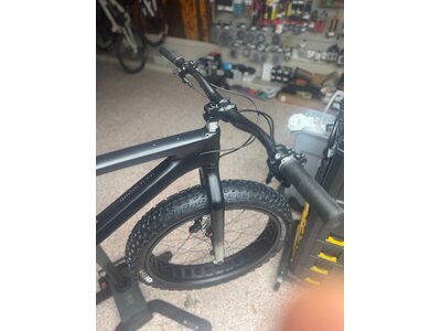 Salsa Custom Beargrease MD