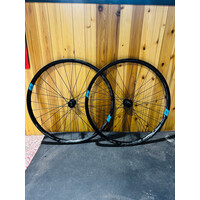 25 XC 29 / DT Swiss 240 EXP XD CL 15x110 12x148 - 1490g