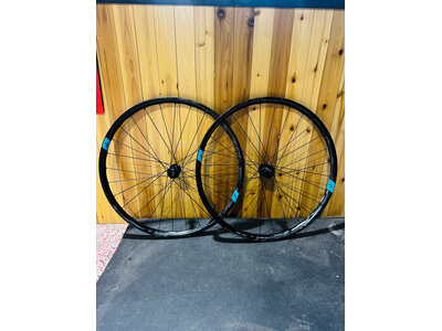 Forge + Bond 25 XC 29 / DT Swiss 240 EXP XD CL 15x110 12x148 - 1490g