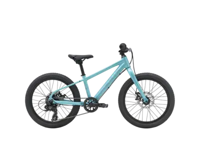 Marin Marin Bayview Trail 20" - Teal Silver