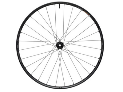 WTB WTB Proterra Light i25 Front Wheel - 700, 12 x 100mm, Center-Lock, Black, 28H