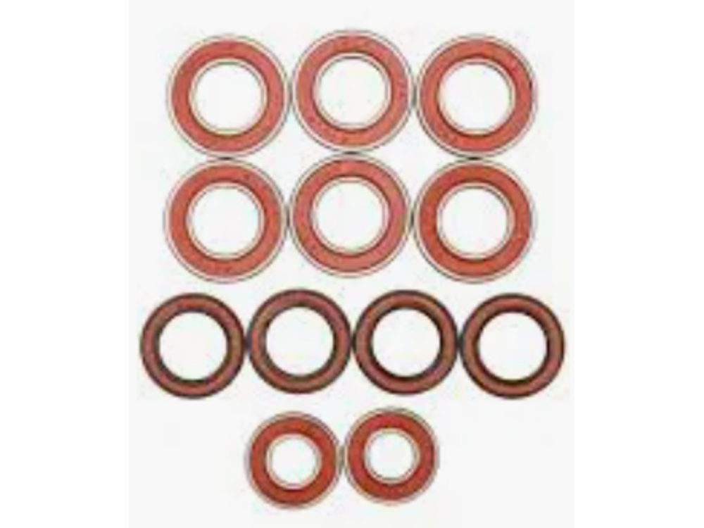 Santa Cruz Bearing Kit Vala 1C