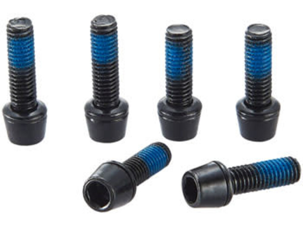 Ritchey Ritchey WCS Replacement Stem Bolts: WCS C220 Stem