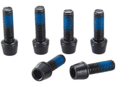 Ritchey Ritchey WCS Replacement Stem Bolts: WCS C220 Stem
