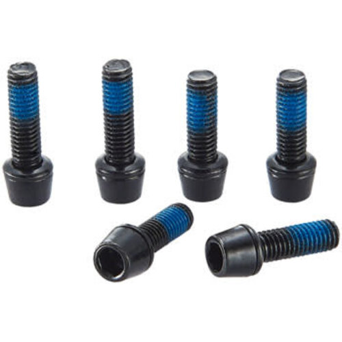 Ritchey Ritchey WCS Replacement Stem Bolts: WCS C220 Stem