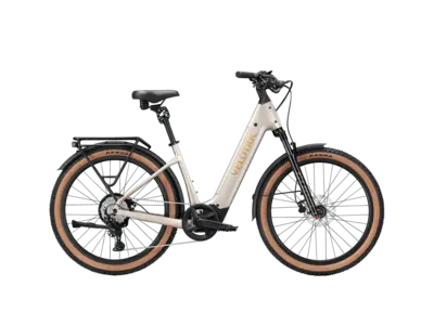Velotric Discover M