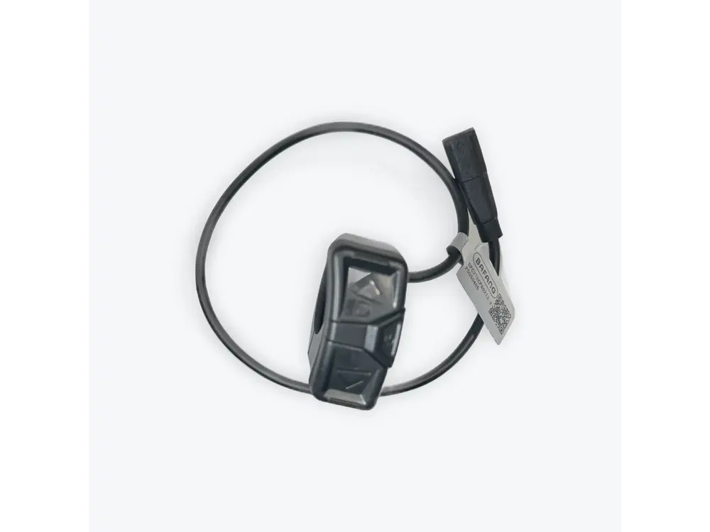 Display Remote - Big Sur | Big Sur Sport | Santa Monica - Big Sur Sport 2.0