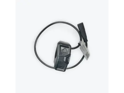 Display Remote - Big Sur | Big Sur Sport | Santa Monica - Big Sur Sport 2.0