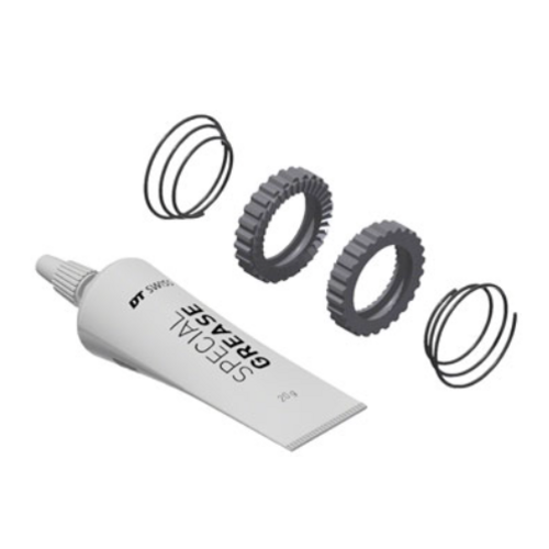 DT Swiss DT Swiss Star Ratchet Kit - 54T