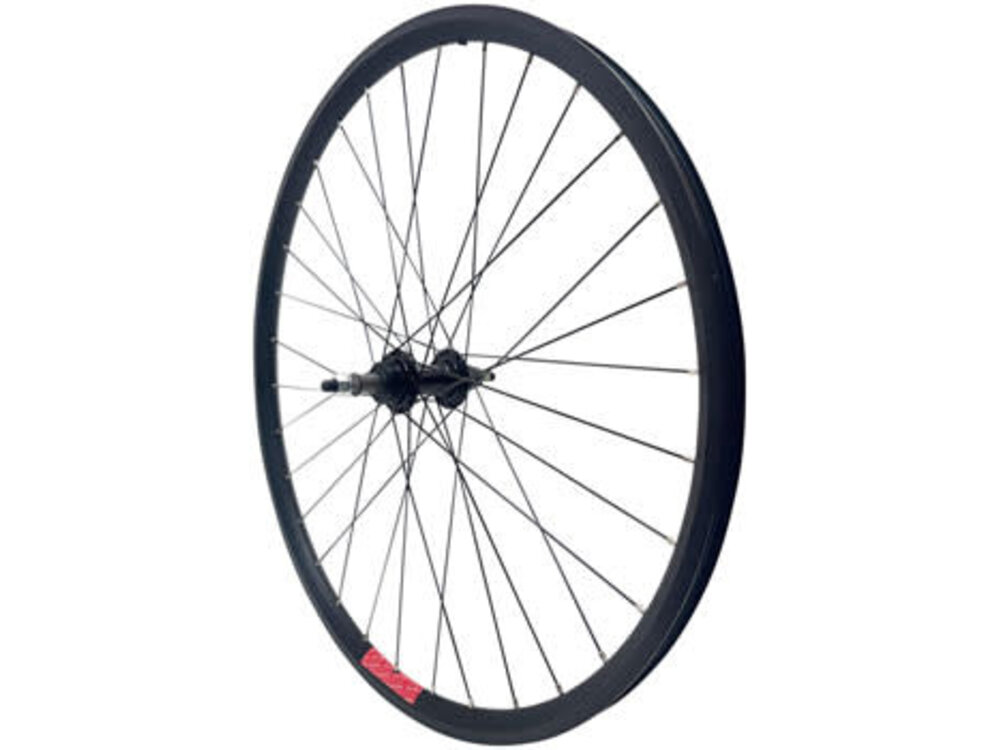 Sta-Tru Sta-Tru Double Wall Rear Wheel - 26", Bolt-On, 3/8 x 135mm, Freewheel, Black