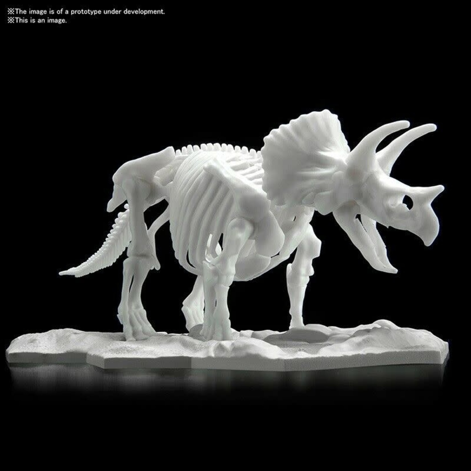 Bandai BAN2569527 Bandai Triceratops Model Kit ##