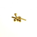 Hiro-Seiko HSI 69572 Hiro-Seiko Hex Button Screw M3x14 24KGold (6pcs)