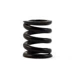 Team Associated **ASC9739 Associated Slipper Spring