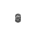 XRay XRA364181 XRAY XB4 Slipper Clutch Spring