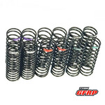 Quasi Speed GFR-1530 Quasi Speed Team GFRP  Loose Dirt Spring Kit