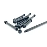 JC Racing Products JCS-0065 JC Racing RC10 Captured Hinge Pin Set (10pc)
