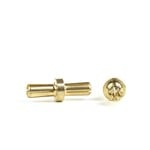 Avid RC AV1092-55 Gold Battery Bullets (2) | Dual 5mm