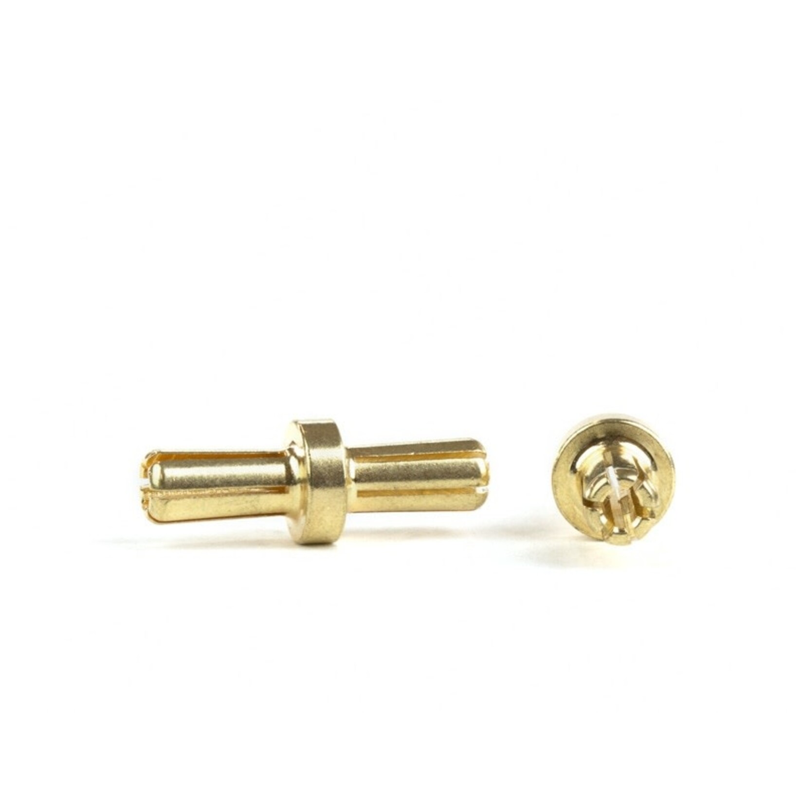 Avid RC AV1092-55 Gold Battery Bullets (2) | Dual 5mm