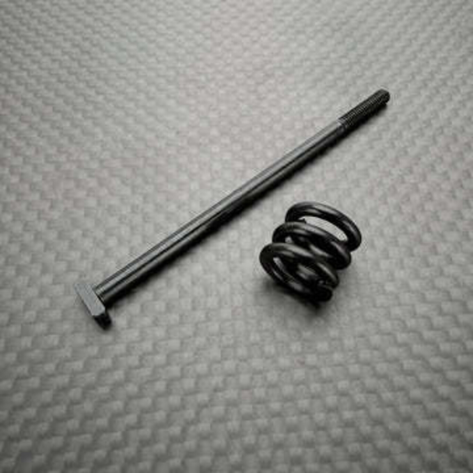 R1 R1-920100 R1WURKS R1B Slipper Screw and Spring