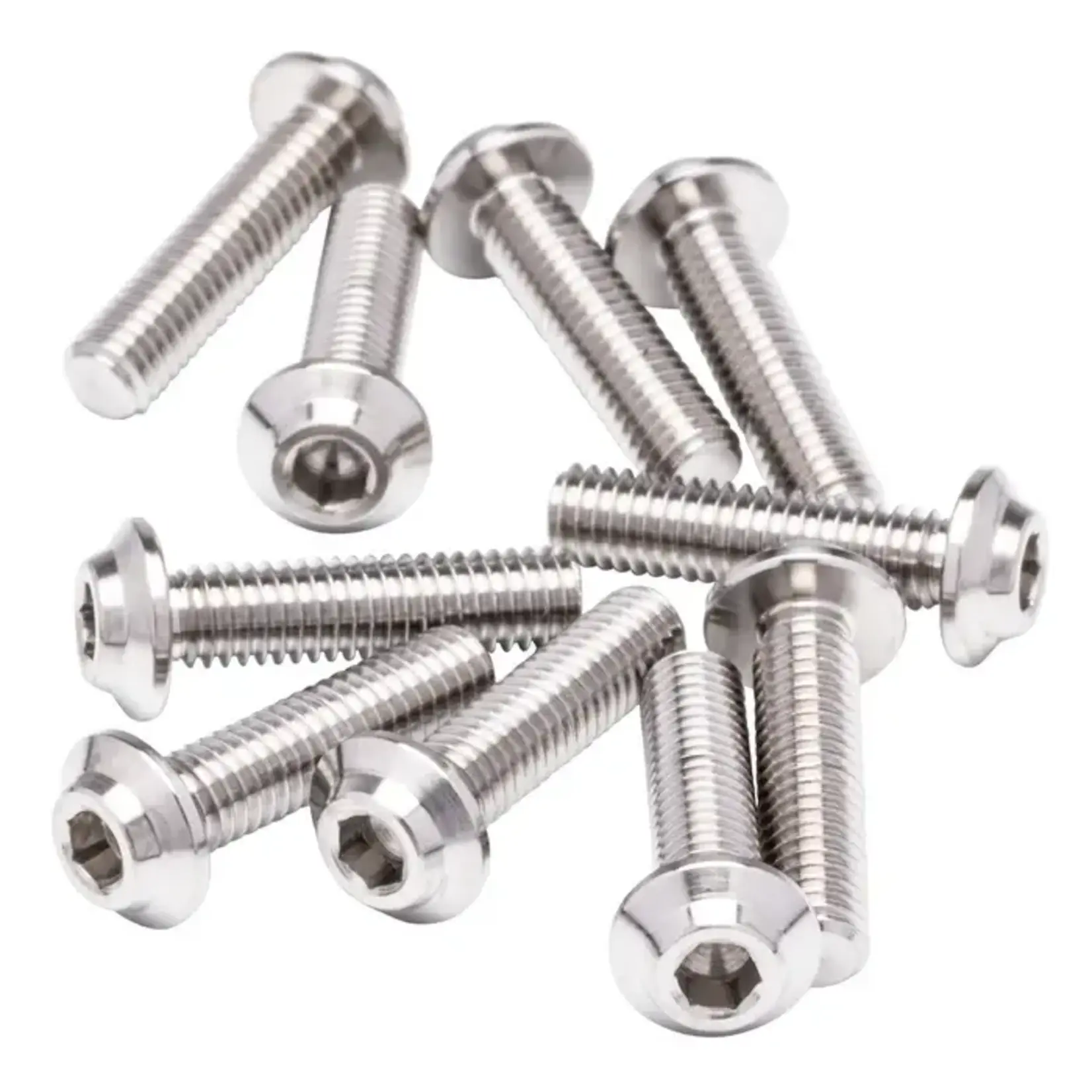 1UP 1UP72210-10 1up Racing Pro Duty Titanium Screws - LowPro Head M2.5x10