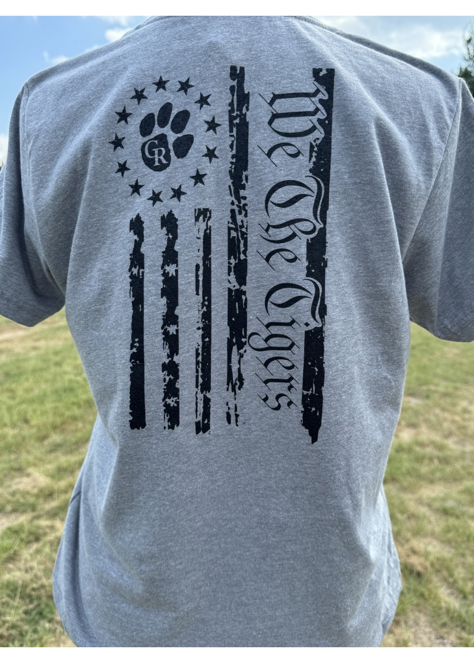 Next Level Ole Glory