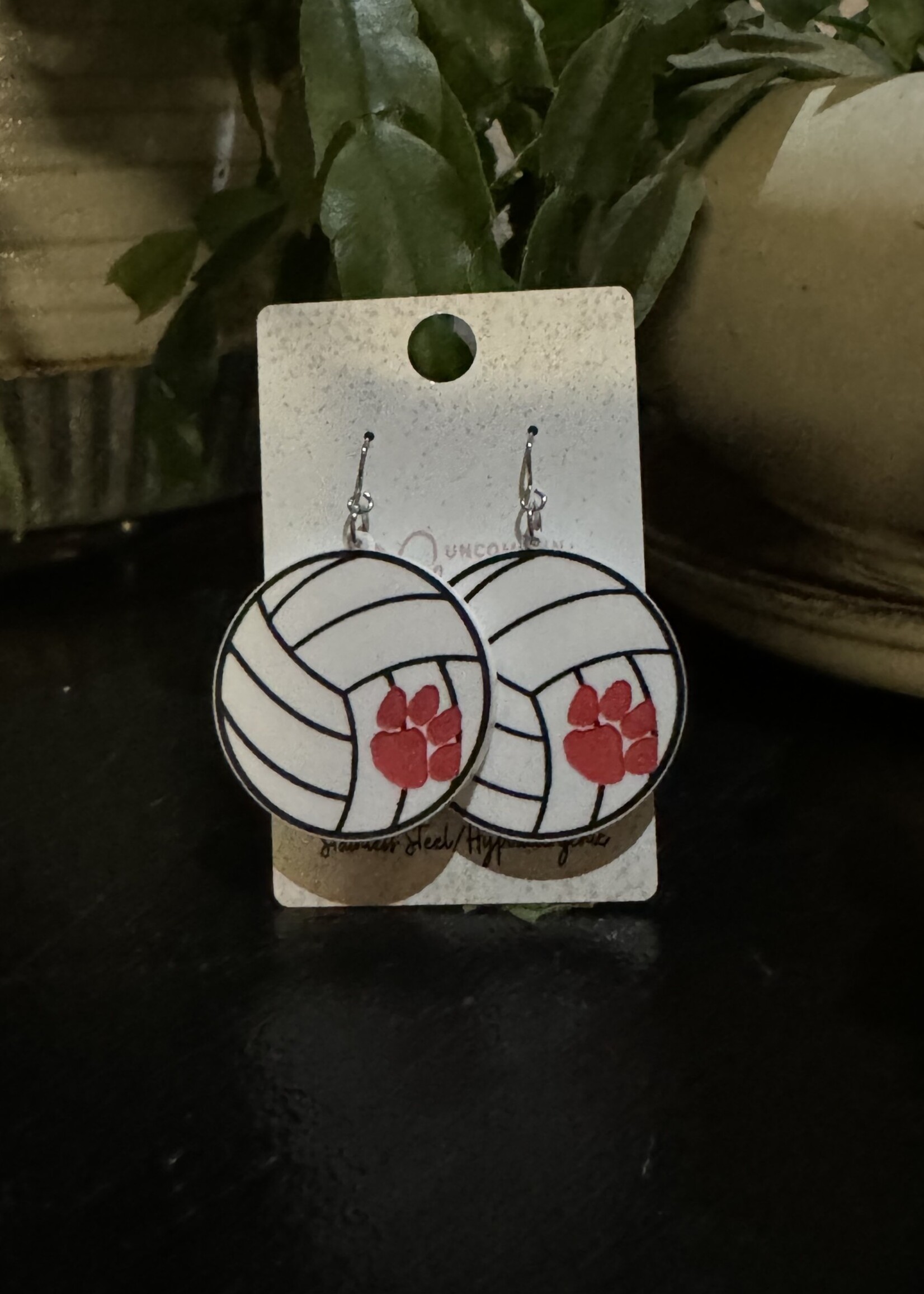 Volleyball Earrings