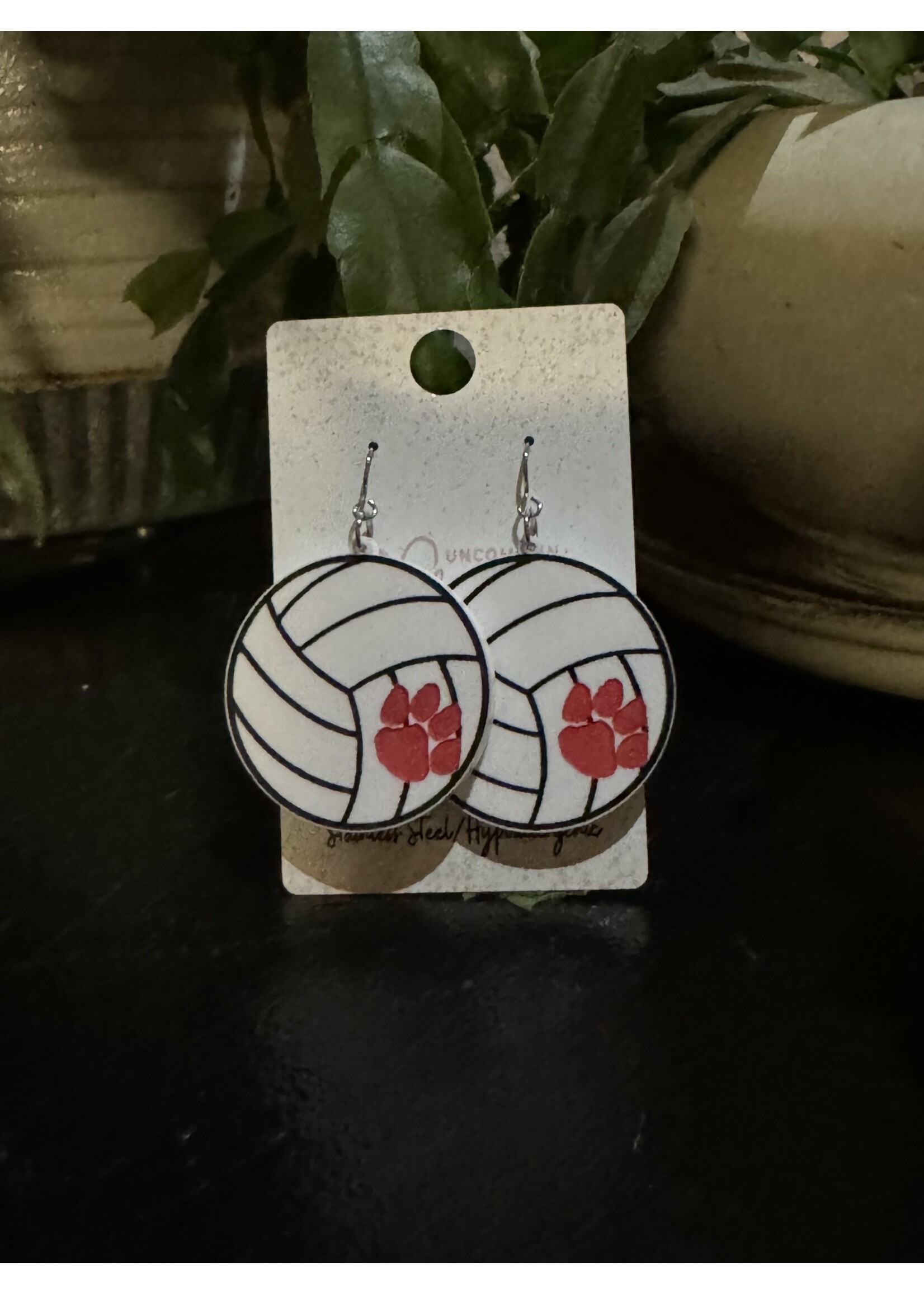 Volleyball Earrings