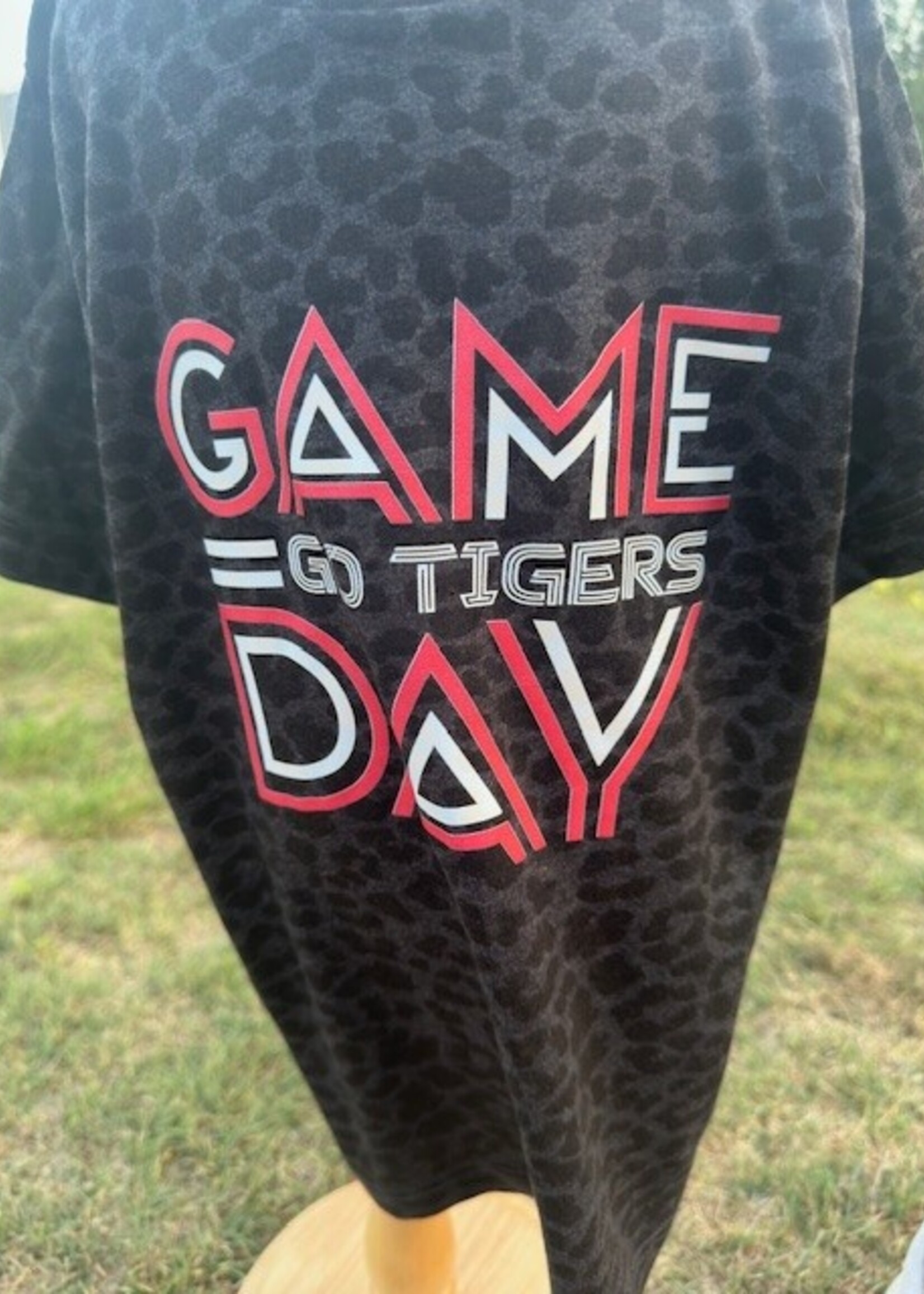 LAT Youth Game Day  Go Tigers