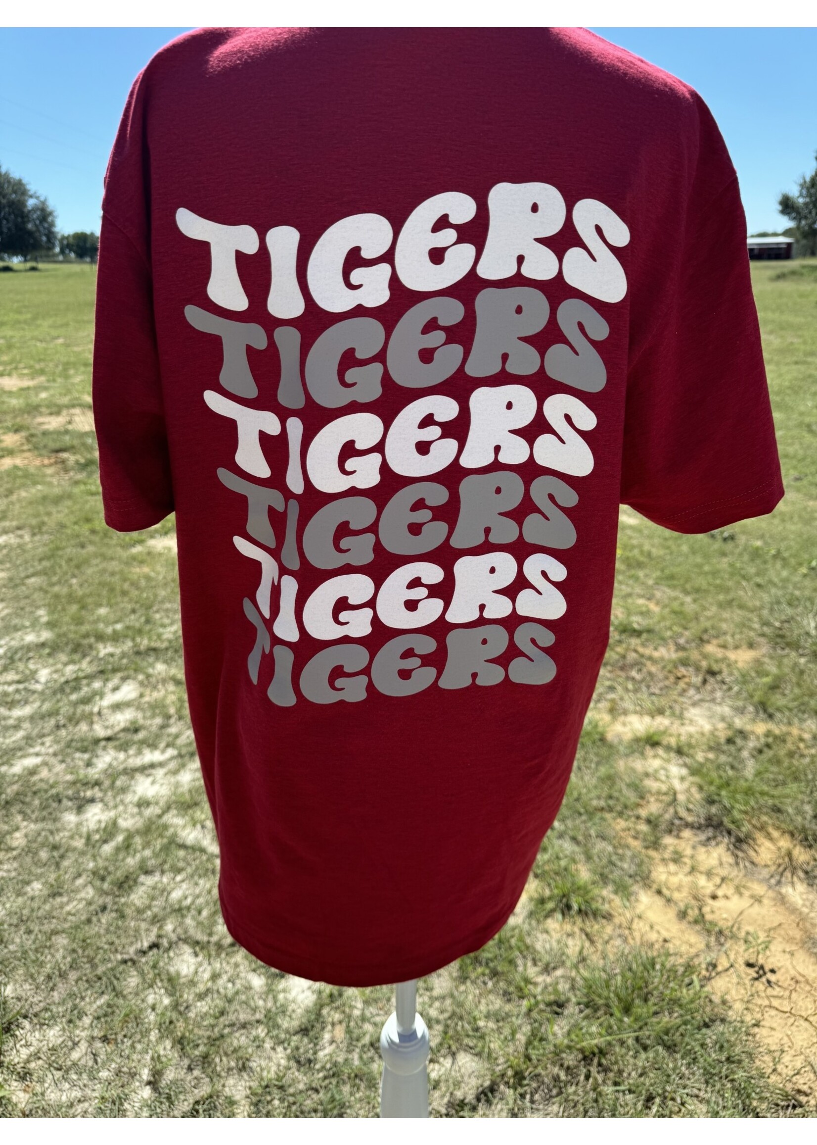 Tiger with Stars