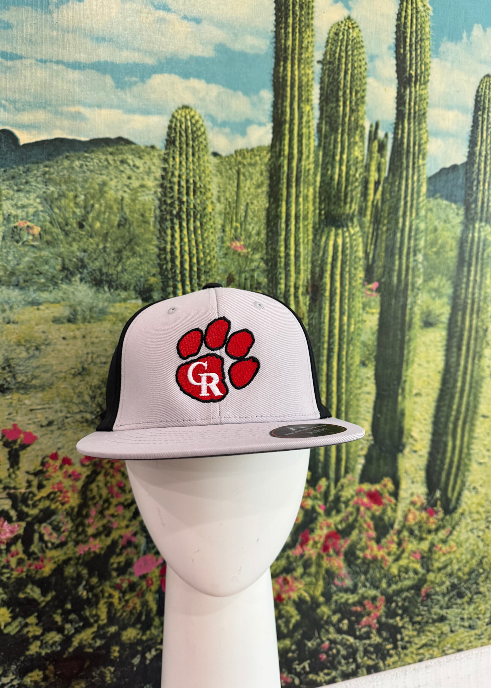 Fitted charcoal/Black hat